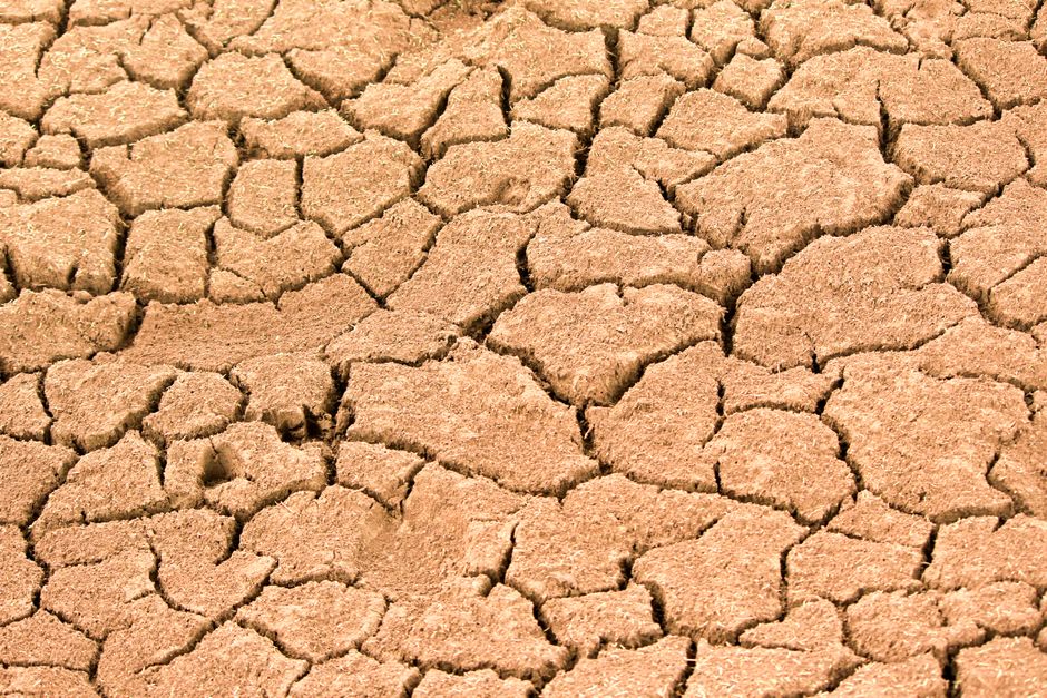 Close-up of cracked dry earth showing effects of extreme drought and climate change.